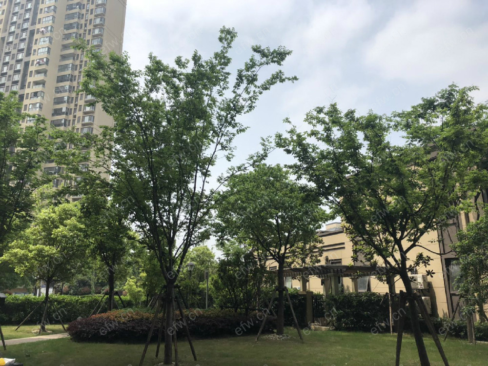 市繁华地段高档小区毛坯任你装电梯中间