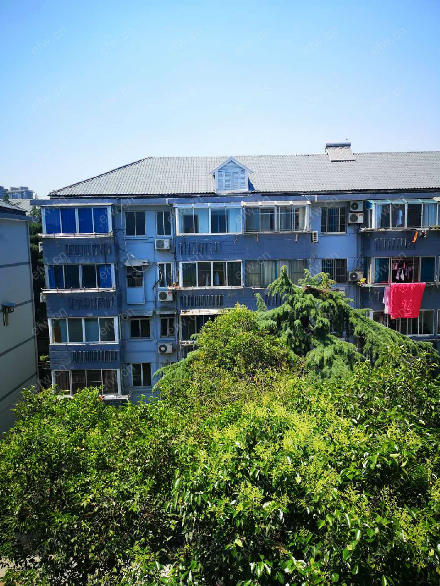 翠云新村 2室1厅  不是顶楼 诚卖