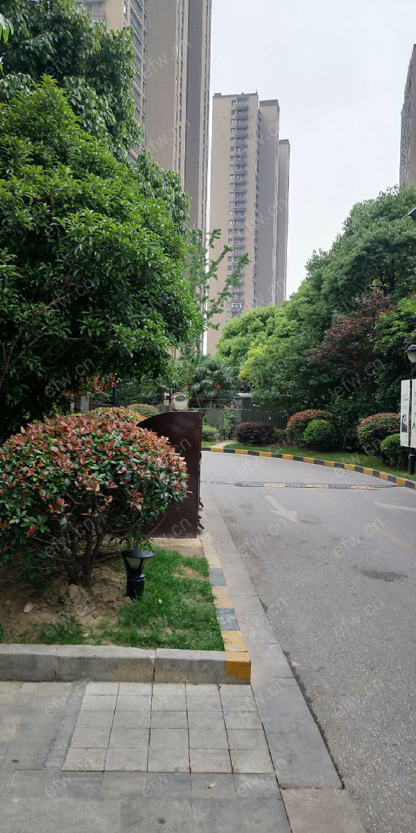 金科米兰公寓 1室1厅