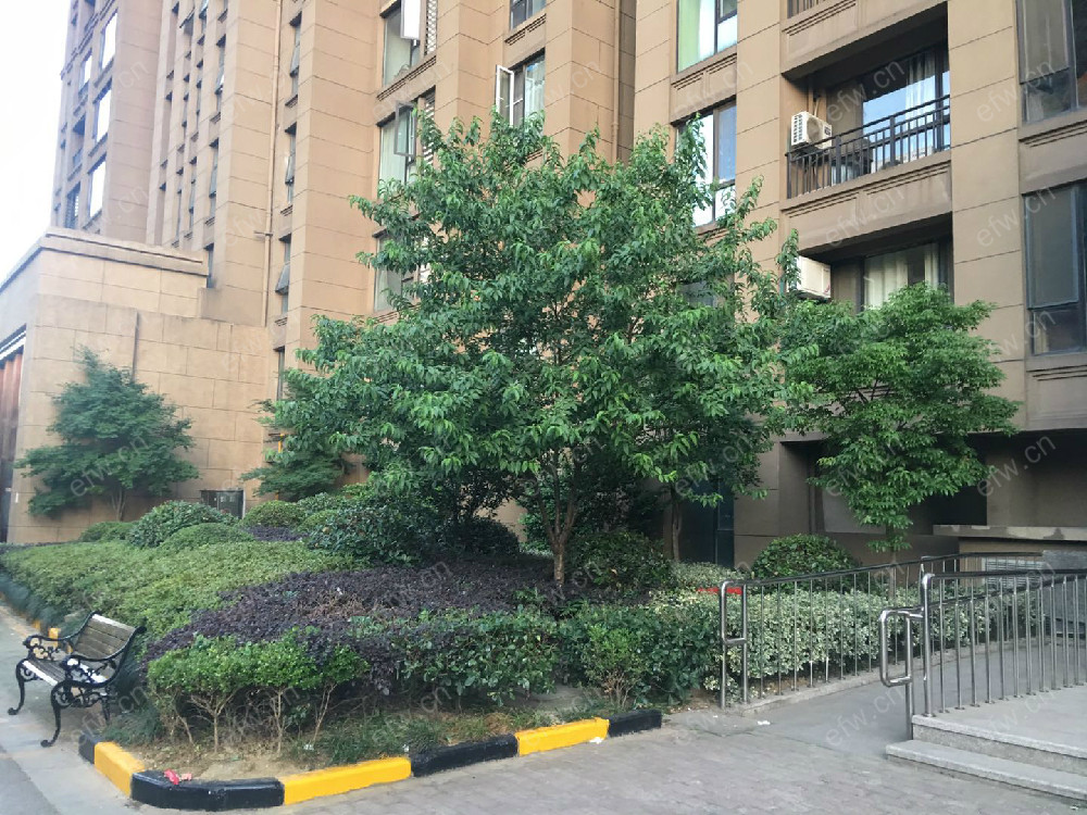 嘉德港与城(水韵金阁) 3室1厅