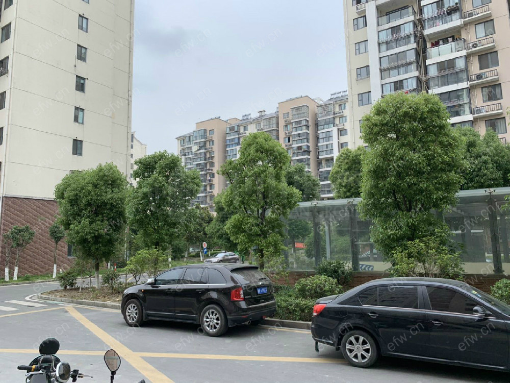 鑫龙家园      精装3室2厅