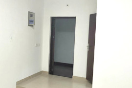 ʦ 31