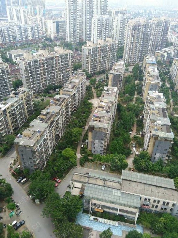 城西花园(西城纪) 3室2厅