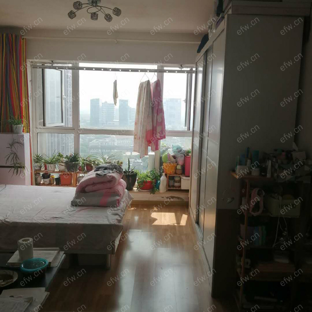 奥林匹克花园 1室1厅