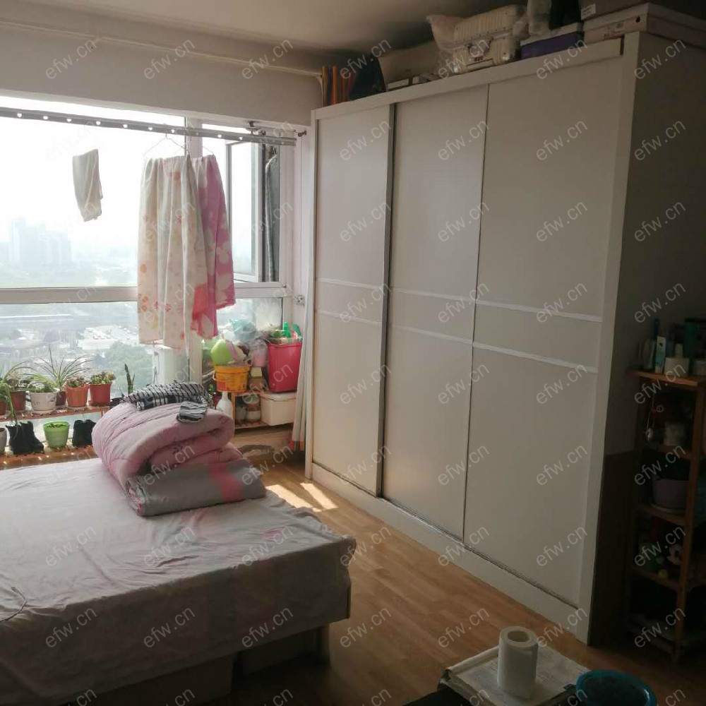 奥林匹克花园 1室1厅