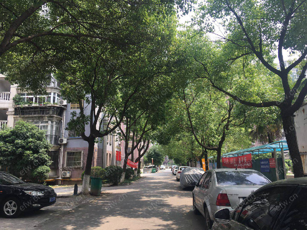 住友家园（住友苑） 6室2厅